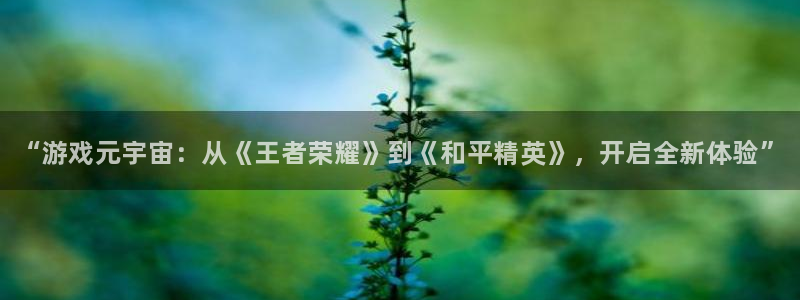 蓝冠娱乐官方平台：“游戏元宇宙：从《王者荣耀》到《和平精英》