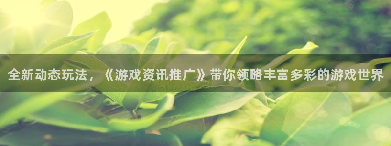 蓝冠娱乐注册服务条款：全新动态玩法，《游戏资讯推广》带你领略