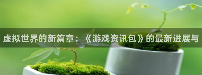 蓝冠娱乐登陆：虚拟世界的新篇章：《游戏资讯包》的最新进展与