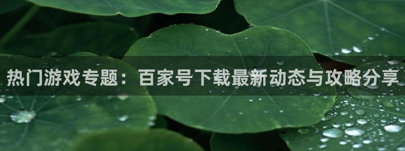 蓝冠娱乐是什么：热门游戏专题：百家号下载最新动态与攻略分享