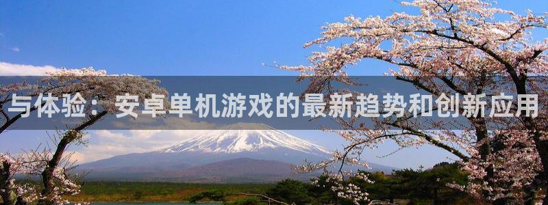蓝冠娱乐平台注册开户:与体验:安卓单机游戏的最新趋势和创新应