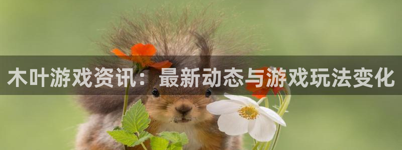 蓝冠娱乐平台：木叶游戏资讯：最新动态与游戏玩法变化