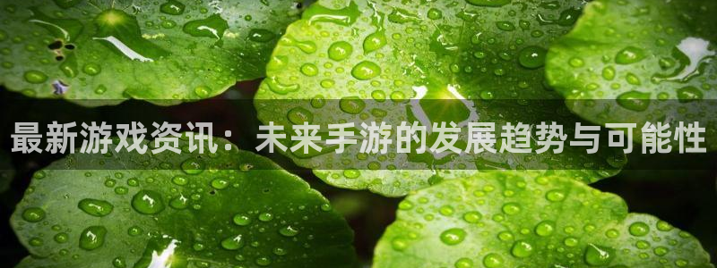 蓝冠娱乐app：最新游戏资讯：未来手游的发展趋势与可能性