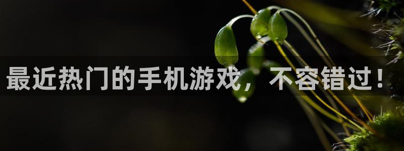 蓝冠娱乐测速：最近热门的手机游戏，不容错过！