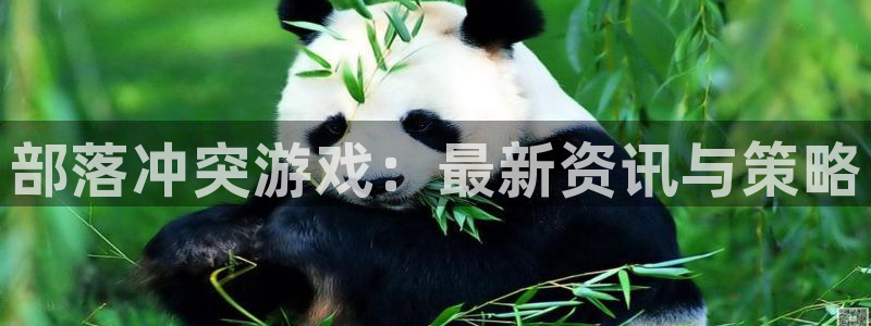 蓝冠娱乐平台负责人：部落冲突游戏：最新资讯与策略