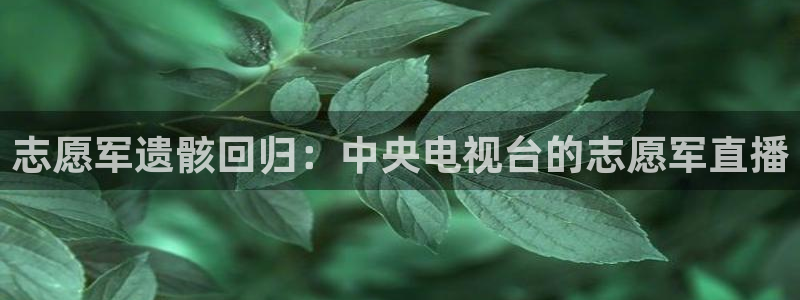 51视频在线直播nba：志愿军遗骸回归：中央电视台的志愿军直播
