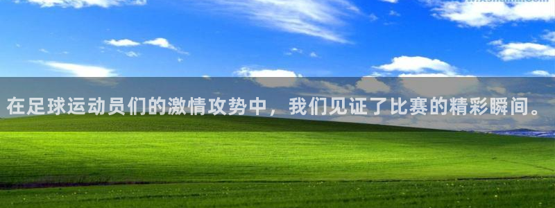 51视频在线直播nba