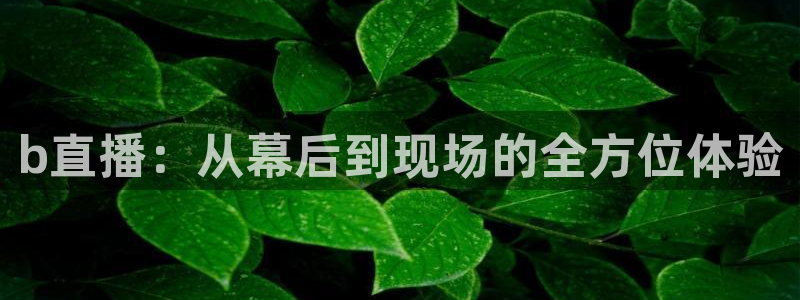 51视频在线直播nba：b直播：从幕后到现场的全方位体验